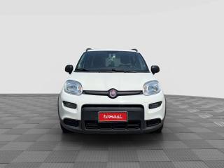 FIAT Panda usata 6