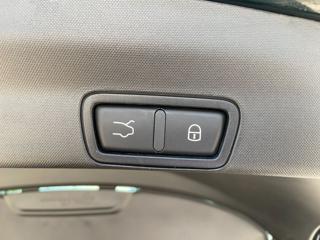ALFA ROMEO Stelvio usata, con Supporto lombare