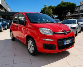 FIAT Panda usata, con Airbag Passeggero