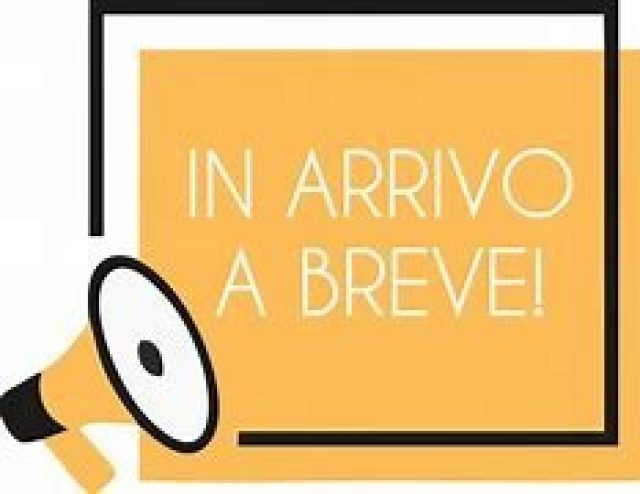 FIAT 500X usata, con Airbag