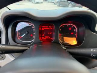 FIAT Panda usata 15