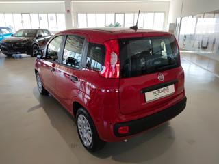 FIAT Panda usata, con Chiusura centralizzata