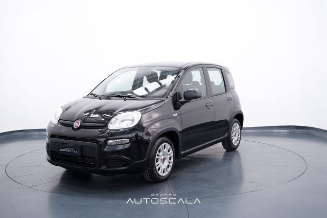 FIAT New Panda usata, con ABS