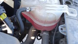 FIAT Punto usata 118