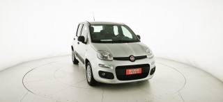 FIAT Panda usata 25
