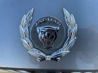 JAGUAR I-Pace usata, con Interni in pelle