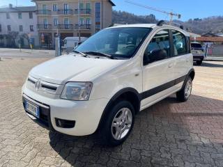 FIAT Panda usata, con Servosterzo