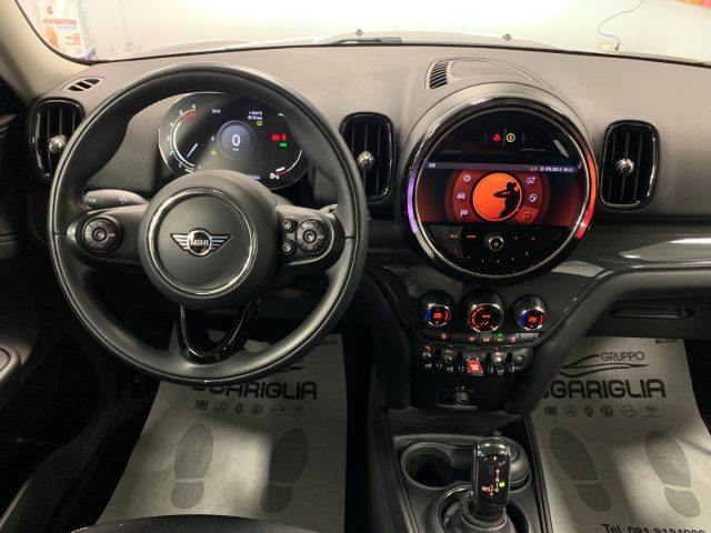 MINI Countryman usata, con Cronologia tagliandi