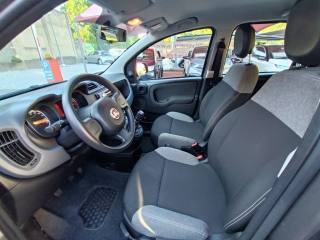 FIAT Panda usata, con Controllo trazione