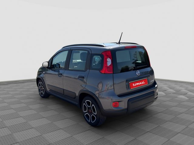 FIAT Panda usata 2