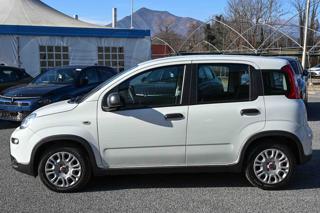 FIAT Panda usata, con Climatizzatore