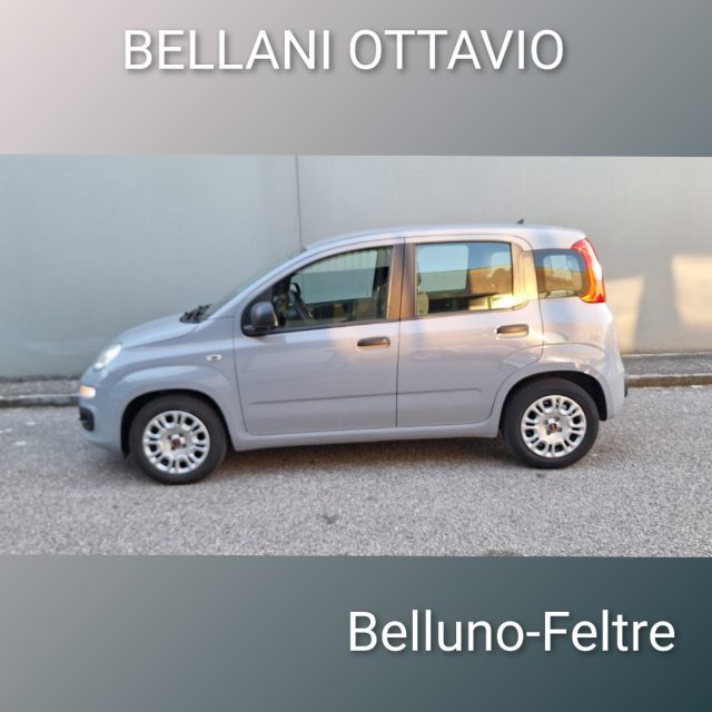 FIAT Panda usata, con Chiusura centralizzata