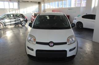 FIAT Panda usata, con Airbag