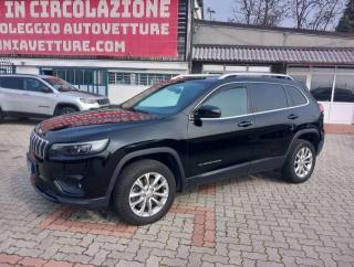 JEEP Cherokee 2.2 mjt Business 4wd Automatica