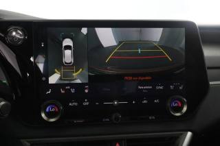 LEXUS RX 450h usata 11