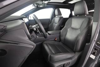 LEXUS RX 450h usata 1