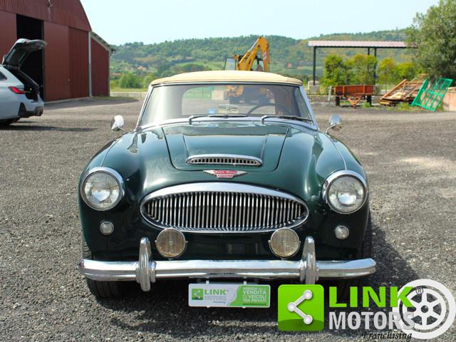 AUSTIN Healey usata, con Cerchioni in acciaio