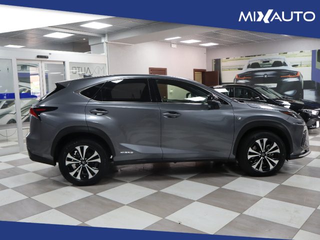 LEXUS NX 300 usata, con Airbag laterali