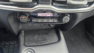 NISSAN Juke usata, con Cronologia tagliandi