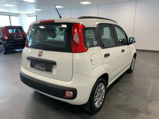 FIAT Panda usata, con Boardcomputer