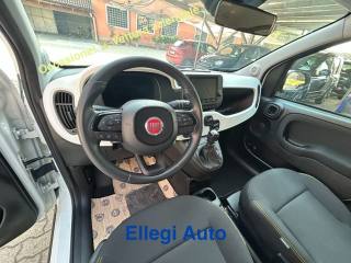 FIAT Pandina usata, con Servosterzo