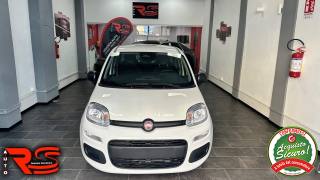 FIAT Panda usata, con Airbag Passeggero