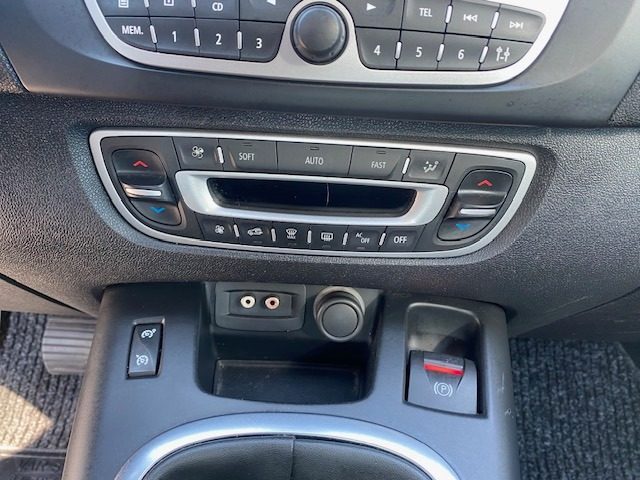 RENAULT Scenic usata, con Bracciolo