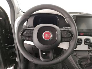 FIAT Panda Cross usata, con Controllo trazione