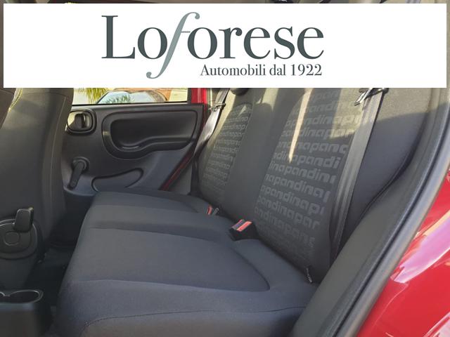 FIAT Panda usata, con Cruise Control