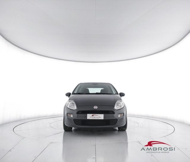 FIAT Punto usata 4