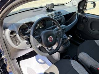 FIAT Panda usata 15