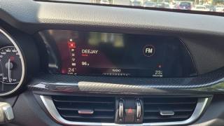 ALFA ROMEO Stelvio usata, con Bracciolo