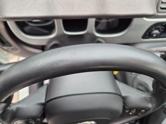 FIAT Panda Cross usata, con Controllo trazione