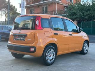 FIAT Panda usata, con Chiusura centralizzata