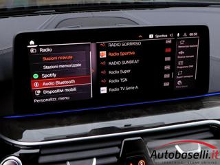 BMW 530 usata, con Sistema di chiamata d