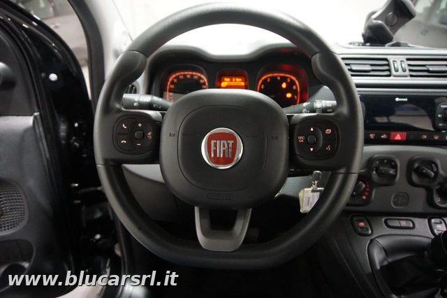 FIAT Panda usata 17