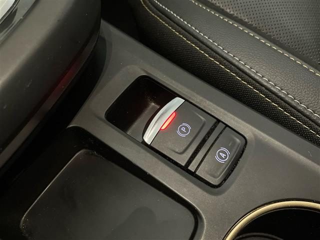 RENAULT Arkana usata 21