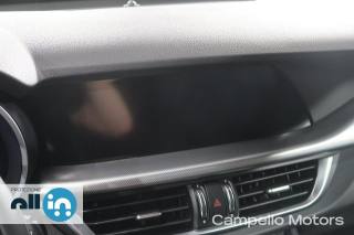 ALFA ROMEO Stelvio usata 9