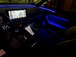 CUPRA Formentor usata, con Immobilizzatore elettronico