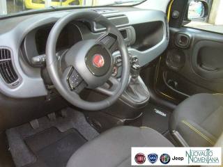 FIAT Panda usata, con Airbag testa