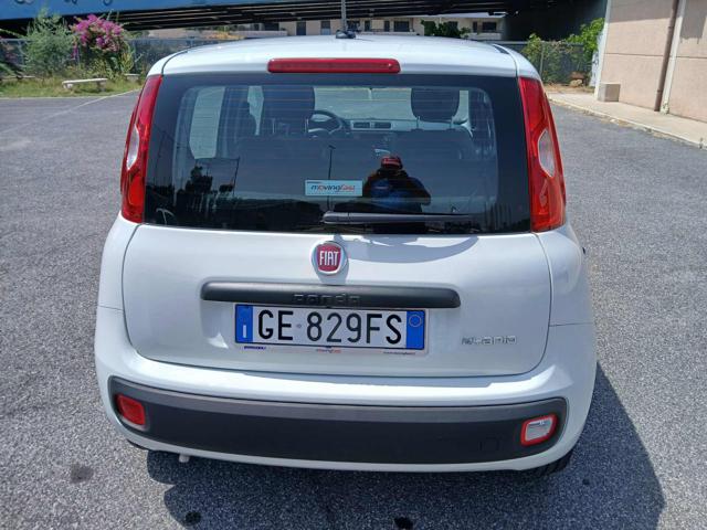 FIAT Panda usata, con Alzacristalli elettrici