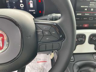 FIAT Panda usata, con Vetri oscurati