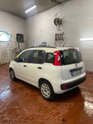 FIAT Panda usata, con Airbag Passeggero