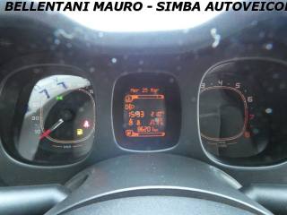 FIAT Panda usata 12