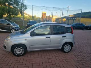 FIAT Panda usata, con Autoradio