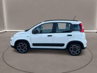 FIAT Panda usata, con Controllo trazione