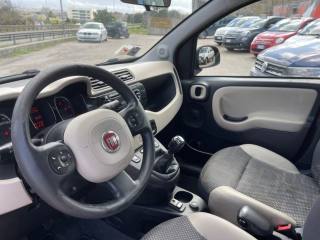 FIAT Panda usata, con Fendinebbia