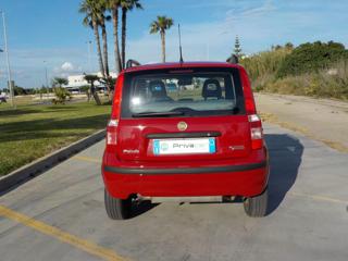 FIAT Panda usata 14