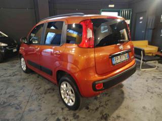 FIAT Panda usata, con Airbag Passeggero