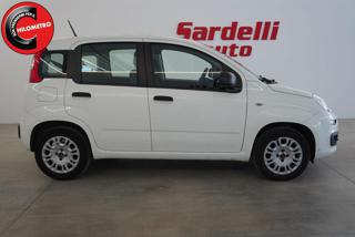 FIAT Panda usata, con Alzacristalli elettrici
